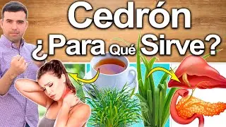 Zacate Limon o Cedron &iquest;Para Qu&eacute; Sirve? - Beneficios Del Cedr&oacute;n Para Tu Salud Y Belleza