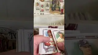 Rookie Mem! 2025 Topps Allen and Ginter! #baseballcards #topps #music