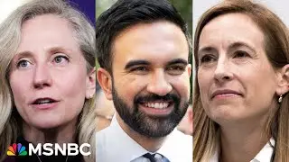 &lsquo;Dems are about to win again&rsquo;: Inside the party&rsquo;s plan to defeat Trump's GOP in key races