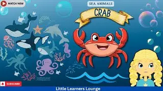 Sea Animals | Crab 🦀 | Kids Vocabulary | Learn Sea Animals For Kids | Animals