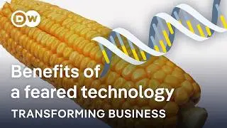 Are large corporations hindering the full potential of genetic engineering? | Transforming Business