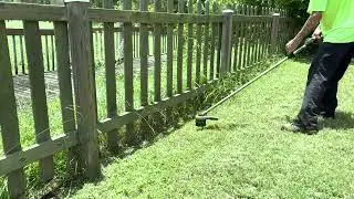 Overgrown Backyard FLATTENED & Whacked Into Shape | Satisfying Lawn Time-Lapse