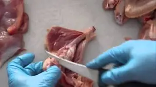 Dezosarea pulpei de pui pas cu pas