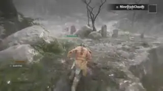 For Viking's Honor - Raider Kills 20