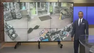 Beavers casually stroll into convenience store in Massachusetts