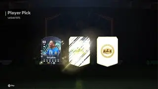 Weekly TOTS PP & 84x10