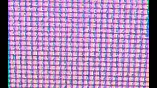 10x Zoom on Rainbow Subpixels