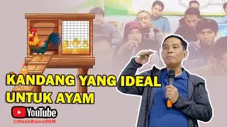 KANDANG YANG IDEAL UNTUK AYAM #bayudiningrat #bayusehatmandiri