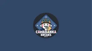 ｜Cawabanka #178｜2025 Bowman baseball delight 隨機 - 快給我大物不然要被翻群了