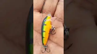 Rapala ultralight lure kerala fishing