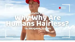 Why Are Humans Hairless? The Evolutionary Mystery!