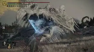 ELDEN RING&trade; | Elder Dragon Greyoll (Boss Fight) | PS4 Pro, NG+