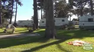 CampgroundViews.com - Morro Bay State Park Morro Bay California CA Campground