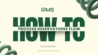 04 1 RMS HOW TO SYSTEM FLOW