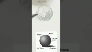How to shade a Circle to make it 3d / shading drawing #art #artist #drawing #shorts