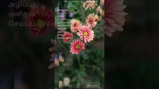 Nature @spread of Nature @sankarvvlog