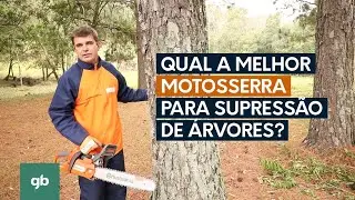 Qual a melhor motosserra para a supressão de árvores?