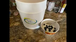Homemade yogurt using whole milk powder - prepping from your pantry