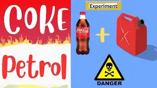 Petrol vs Coca Cola Experiment | Danger Experiment  | Petrol | Coke