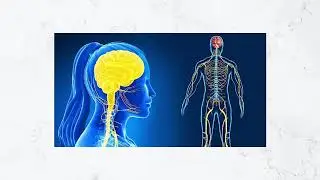 Autoimmune Disorder I  Type I diabetes in children causes Explained in Tamil by Parameswari Kumar