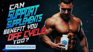 Evolutionary.org UG Supplements #29. Могут ли поддерживающие добавки принести пользу и вне цикла?