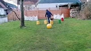Finley beim Treibball - Training