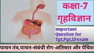 Class -7,10 Homescience# Digestive system पाचनतंत्र😍important question for pgt,Pgt, Lt-grade exam। 