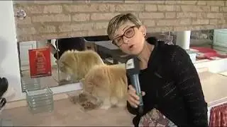 Gatti: la Comunicazione e' TUTTO! (Raffaela Millonig ospite di Su la Zampa/TRC)