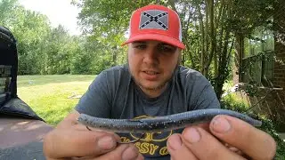 How To Rig SOFT PLASTIC Baits For BASS Fishing ( GIVEAWAY)