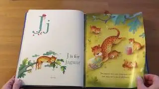 The Usborne Illustrated Alphabet - Usborne