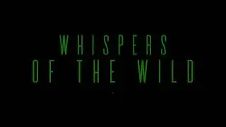 WHISPERS OF THE WILD - OSONA SHREAD