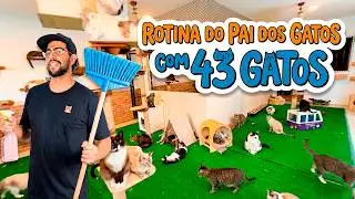 ROTINA COM 43 GATOS EM CASA, O PAI DOS GATOS
