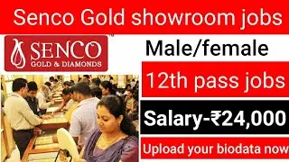 Senco Gold company jobs vacancy / Senco gold recruitment / private jobs 2021 / jobs vacancy fresher