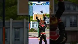 Basketball stars. Career Completed