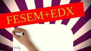FESEM+EDX