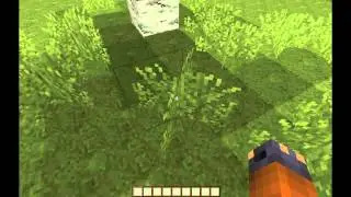 Punching Grass
