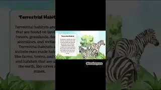 #habitatsofanimals #animalhabitats #educationalvideo #animals #sciencelessons