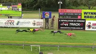 Capalaba-11012026-Race-7