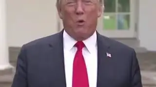 Trump &egrave; furbo come una faina. Giangy Ercoli madlipz