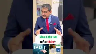 Pine Labs IPO: Is This FinTech Gem Really Worth the Hype? | Anil Singhvi Full Analysis