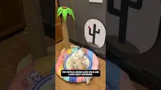 Save Your Furniture with the Cactus Wall Scratcher! 🌵🐾