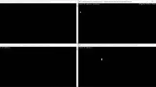 Client Server programmed in c/c++