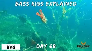 ULTIMATE Bass Rigging Guide: Underwater Footage & How-To Setup for Every Component
