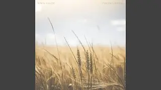 Open Fields