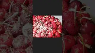 Eggless Chocolate Cherry Cake | Easy Homemade Cake Recipe for Any Occasion