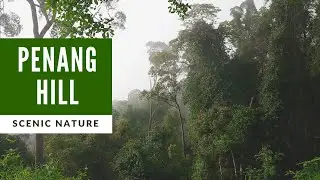 🇲🇾 Penang Hill: Morning Leisure Walk
