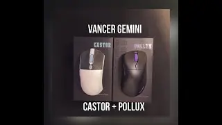 Vancer GEMINI Review!