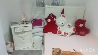 روتين يومي