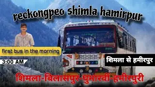 SHIMLA TO HAMIRPUR🚍 / (शिमला बिलासपुर घुमारवीं हमीरपुर) HRTC RECKONGPEO night 😴 bus 🚍