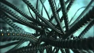 Stahlmantel - Kartago Cluster Wars